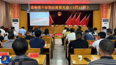 通羊镇召开干部警示教育大会