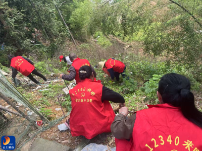燕厦乡：党建引领聚合力 人居环境焕新颜