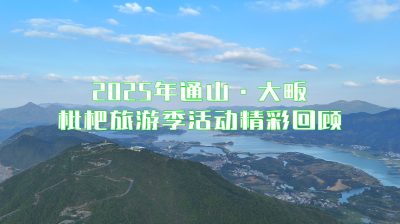 【短视频】2025年通山·大畈枇杷旅游季活动精彩回顾