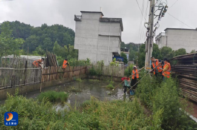 大路乡寺下村：干群联动整治人居环境