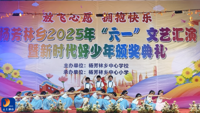 杨芳林乡：举办2025年“六一”文艺汇演
