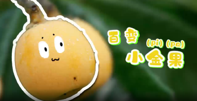【短视频】百变小金果