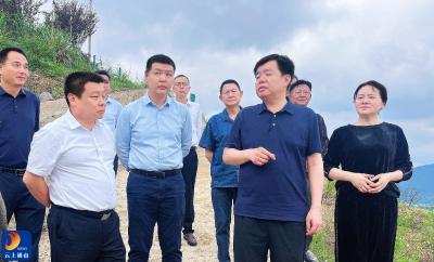 V视丨吴涛督导调研水上交通安全工作时强调：筑牢安全防线 保障群众出行安全