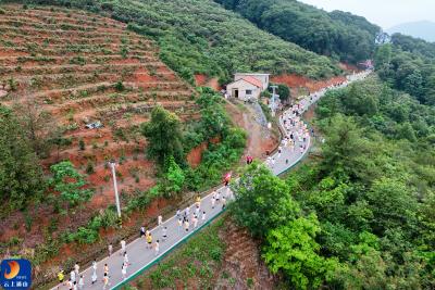 【通山美景㉑】鸣枪开跑！第七届通山·大畈枇杷旅游季健康跑燃动山乡  