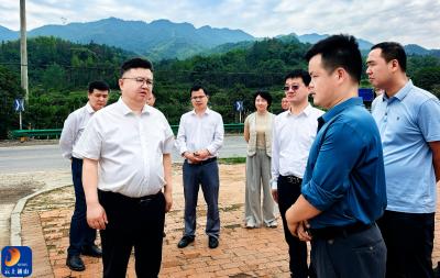 V视丨陈洪豪调研农村人居环境整治工作