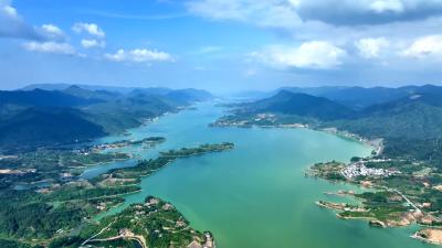 V视丨通山：“枇杷之乡”开启夏日“甜蜜经济”