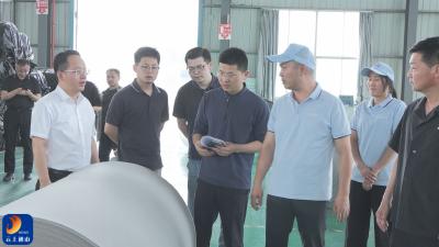 V视丨市委办调研组来通山县调研新材料产业发展