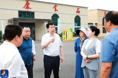 V视丨吴涛实地督导第七届通山•大畈枇杷旅游季筹备工作