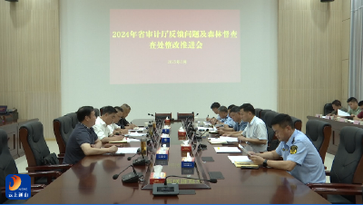 V视丨2024年森林督查图斑查处及审计反馈问题整改推进会召开