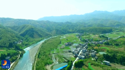【飞“悦”通山⑤】V视丨秘境三界：鹅公颈瀑布下的生态诗篇