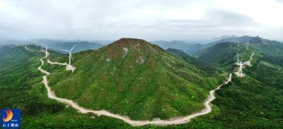 通山美景⑳丨秘境三界：鹅公颈瀑布下的生态诗篇