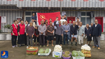九宫山镇：端午慰问传温情 浓浓关怀暖人心