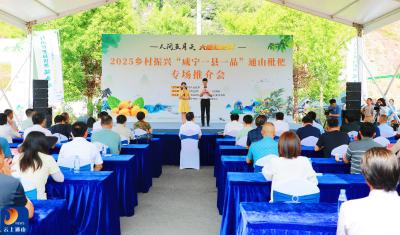 V视丨2025乡村振兴“咸宁一县一品”通山枇杷专场推介会盛大启幕  