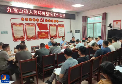 九宫山镇：党建引领“微网格”绘就人居环境新画卷