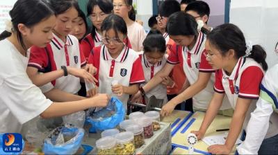 县中医医院：传承国粹从娃娃抓起  中医药文化科普课堂点燃学子兴趣