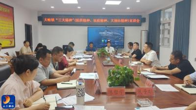 【弘扬三大精神 奋力建成支点】大畈镇：深学践行“三大精神” 激发干事创业新活力