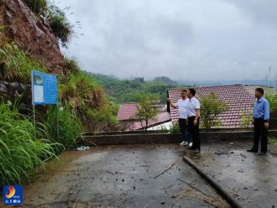 大畈镇：开展地质灾害隐患点巡查 筑牢汛期安全防线