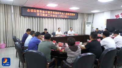 V视丨杜兵到学习教育联系点通羊镇调研