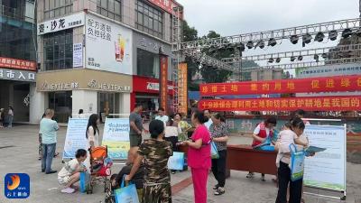 【第35个全国土地日】通羊镇开展第35个全国土地日主题宣传活动