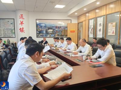 V视丨政协通山县十一届五次会议开展联组讨论
