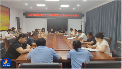 大畈镇：以“七项硬核举措”打造“暖心政务”新标杆