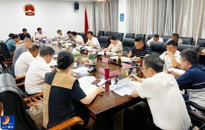 V视丨吴涛主持召开通山县重点项目推进会