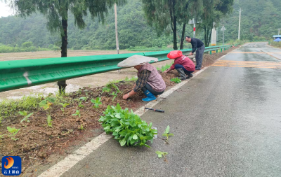 闯王镇：细雨润花苗，共绘新美景