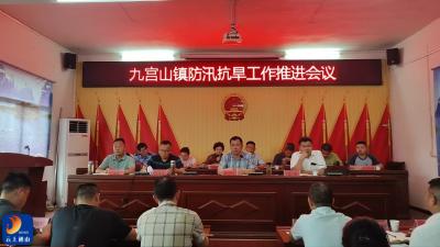 九宫山镇：全面部署压实责任 打好防汛抗旱主动仗 
