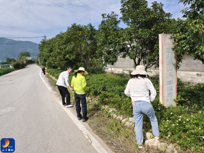 党建引领聚合力 闯王镇人居环境整治见实效