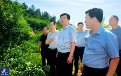 V视丨吴涛开展巡林巡库工作时强调：绷紧安全之弦 扛牢生态之责  为通山高质量发展提供坚实支撑