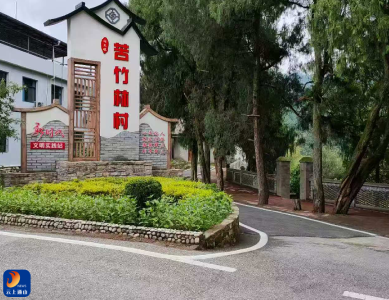 闯王镇苦竹林村支书兼主任赵娟：誓将苦竹林建成富裕林