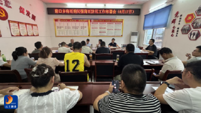 慈口乡：安排部署梅雨期间强降雨防范工作