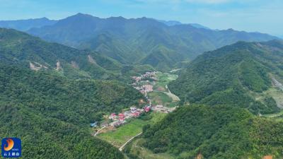 V视丨洪港镇郭源村：党建引领破茧成蝶 绿色经济赋能乡村振兴