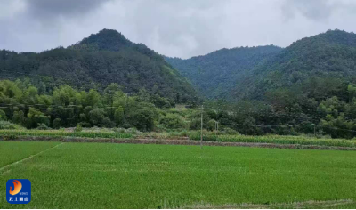【人大代表风采】一心为公又为民——通山县人大代表、大路乡杨狮坑村支书兼主任余月来