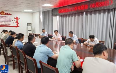 吴涛到厦铺镇督导重点工作