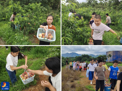 以桃为媒，情暖校园！龙燕湖农业发展有限公司邀北冲小学师生共赴“甜蜜之约”