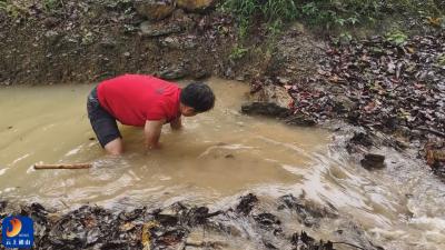 V视丨暴雨中！公路养护工徒手扒开排水口