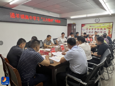 【弘扬三大精神 奋力建成支点】通羊镇：召开集中学习“三大精神”专题会议