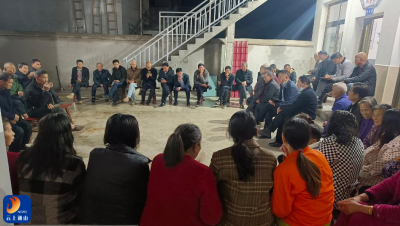 一会三队 一约四榜 一议两评——九宫山镇基层“细治理”焕发乡村“新气象”