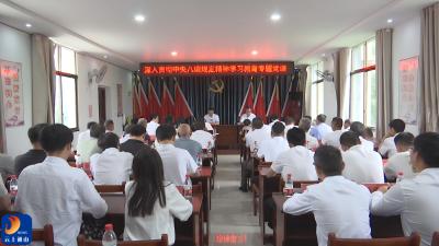 V视丨县领导到学习教育联系点燕厦乡调研