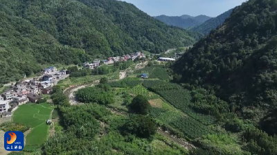 V视丨通山“一村一品”彰显特色农业魅力