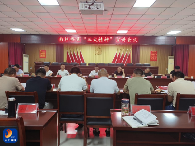 【弘扬三大精神 奋力建成支点】南林桥镇：弘扬“三大精神” 凝聚奋进力量