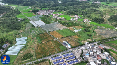 V视丨果香四溢 甜蜜“摘”出好时光！