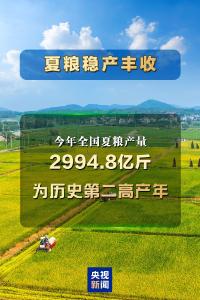 历史第二高产年 今年全国夏粮产量2994.8亿斤