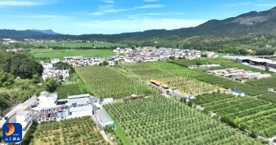 【弘扬三大精神 奋力建成支点】V视丨通山：“一村一品”显特色 富民增收助振兴