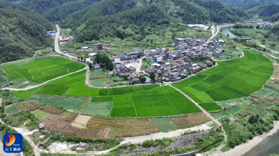 【倡导移风易俗 弘扬文明新风】V视丨苦竹林村：从“试点”到“亮点” 移风易俗赋能乡村新文明