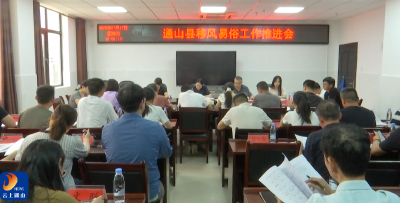 V视丨通山县移风易俗工作推进会召开 