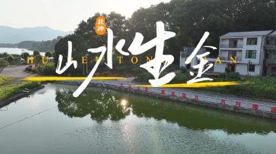 V视丨山水生金——老支书的25年坚守