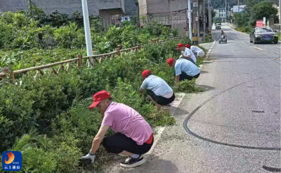 闯王镇宝石村：重温誓词薪火传 环境整治践初心