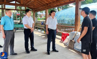 V视丨吴涛调研九宫山镇村级集体经济及平安稳定工作
